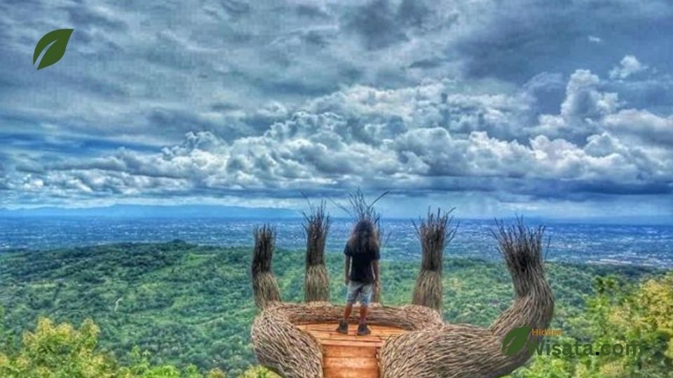 Hutan Pinus Mangunan wisata tersembunyi di jogja