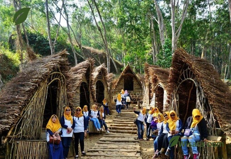 Hutan Pinus Mangunan