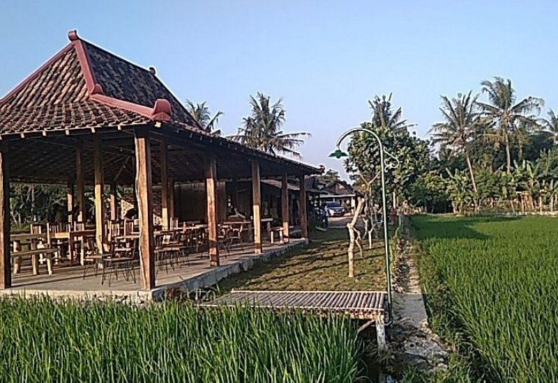 Omah Sawah Tembi