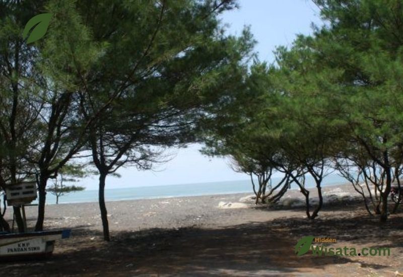 Pantai Pandansimo wisata pantai di bantul
