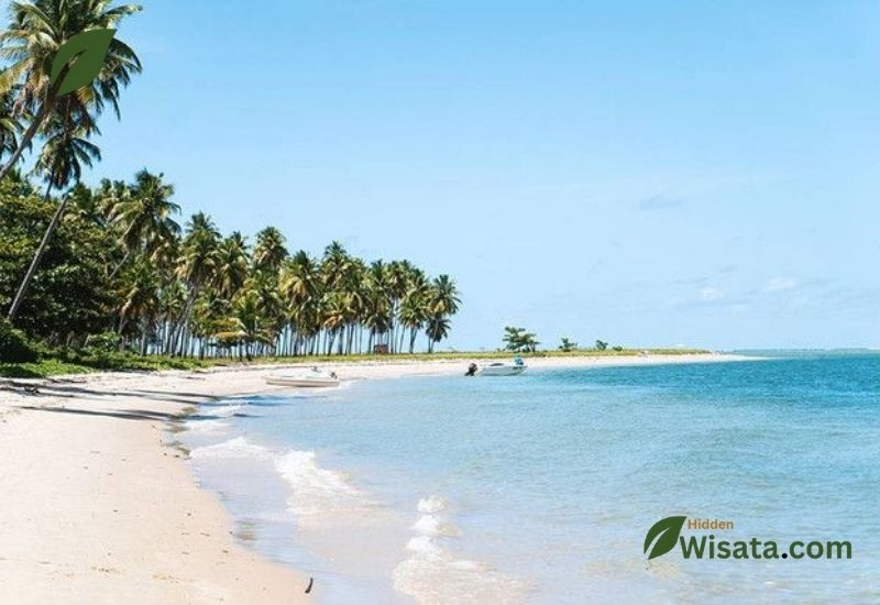 Pantai Tirto Samudro wisata pantai di bantul