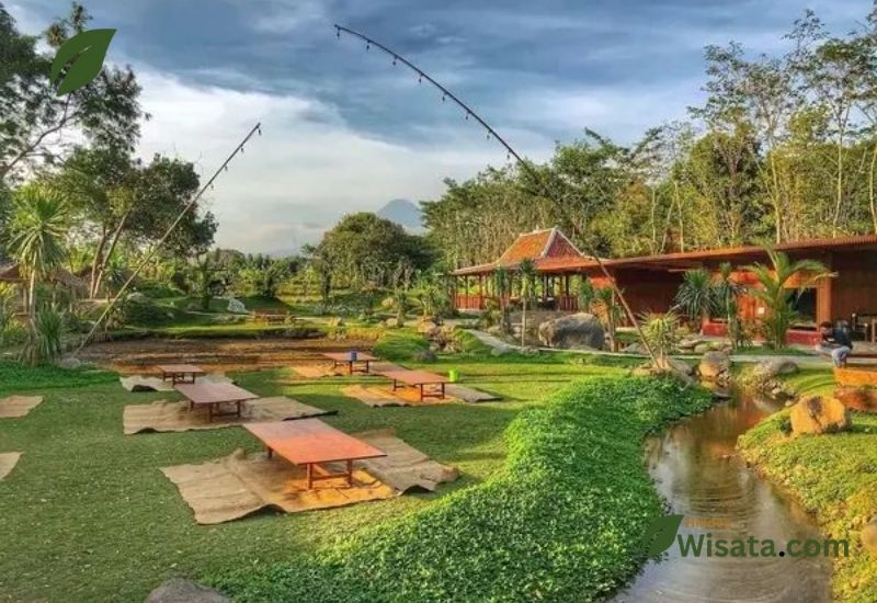 Tempat Makan Enak di Sleman